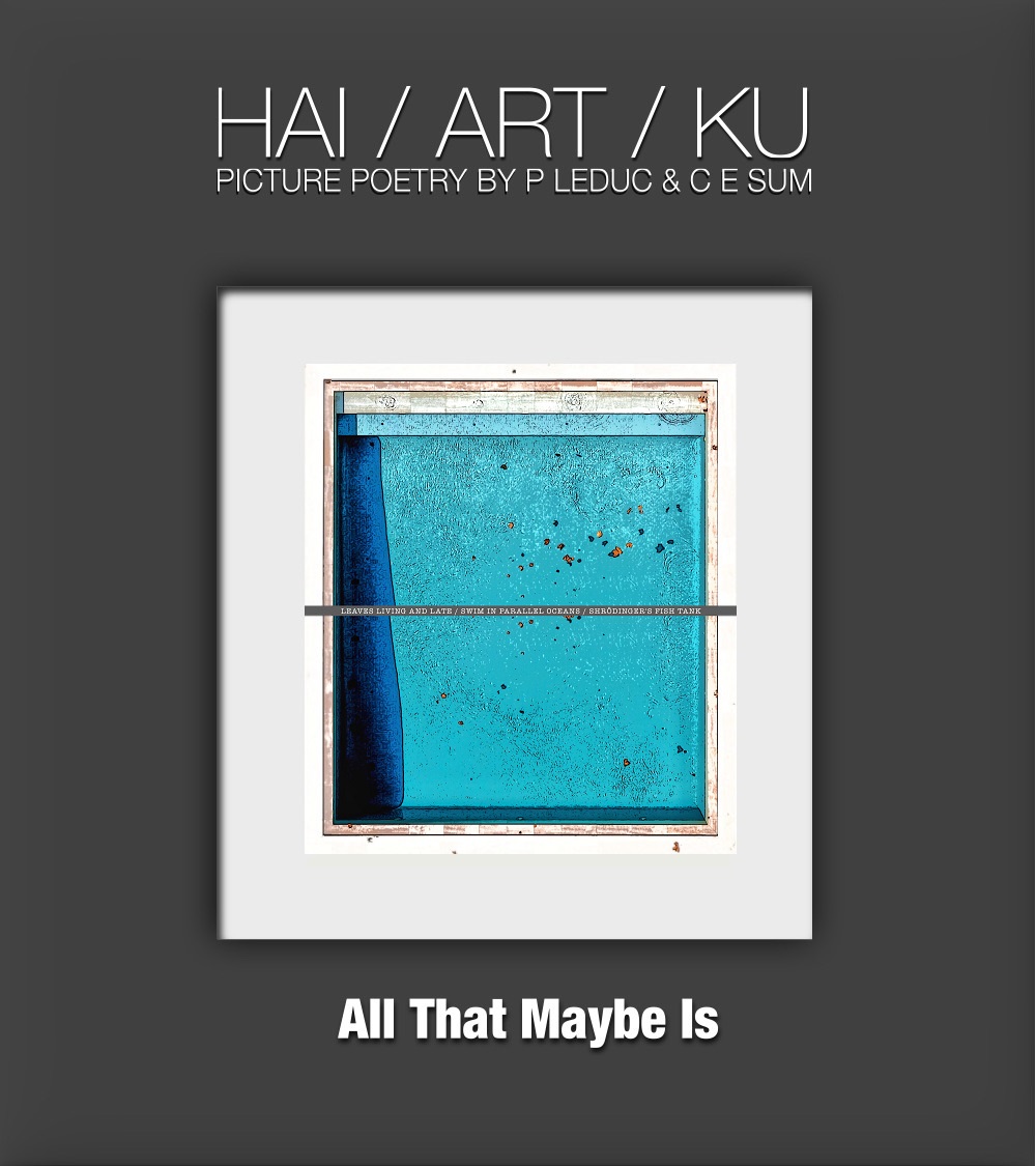 Shrodinger's Fish Tank 1