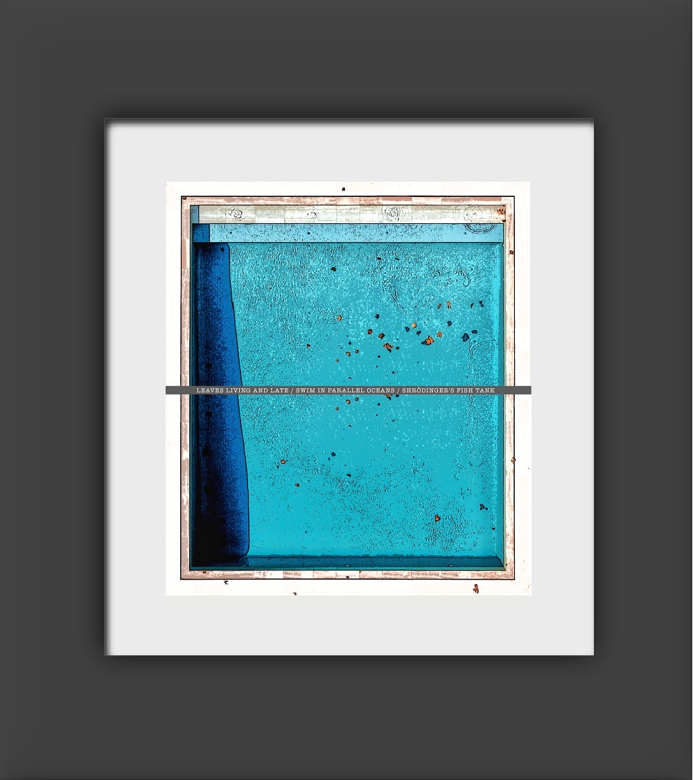 Shrodinger's Fish Tank 2