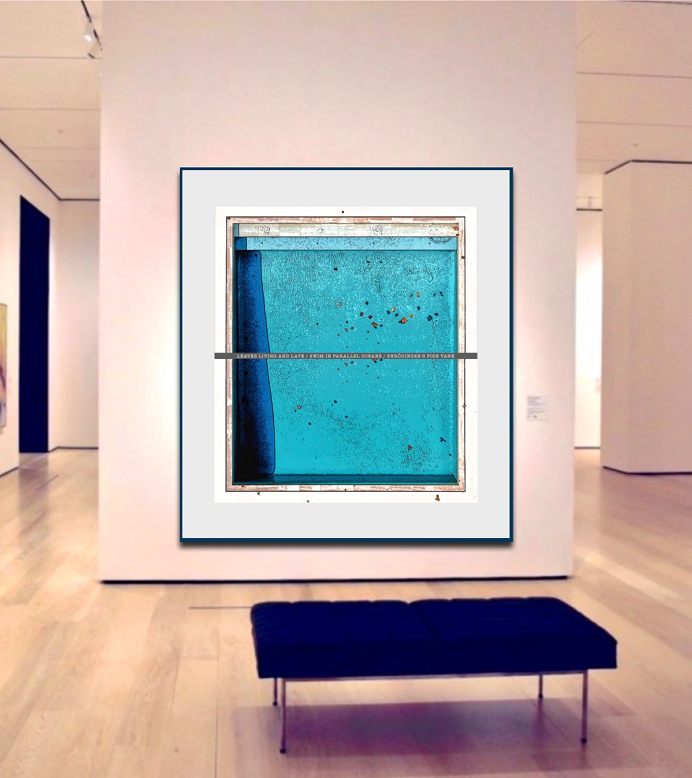 Shrodinger's Fish Tank 4