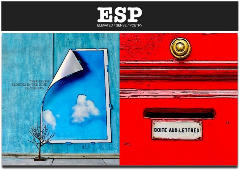 Elevated Sense Poetry ESP