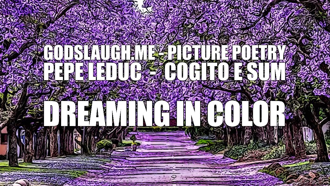 Dreaming in Color title