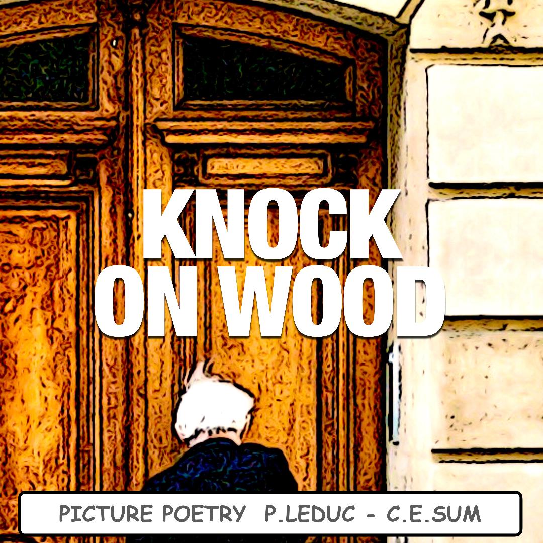 Knock on Wood poster
