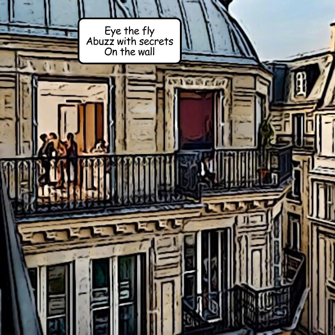 Fly on Wall 5