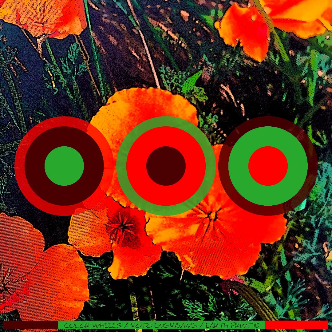 Earth Print 10, Color Wheels series