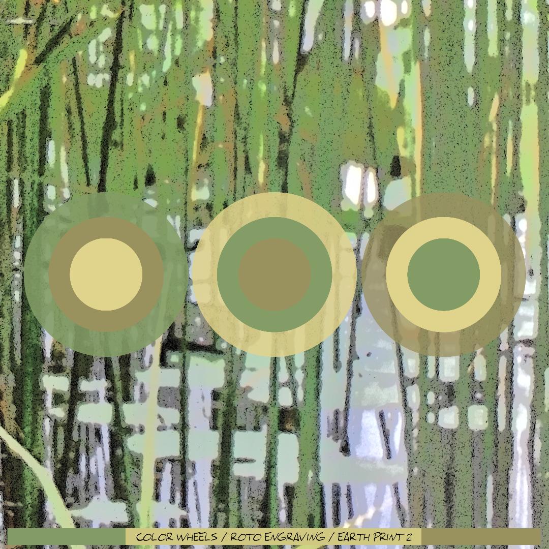 Earth Print 2, Color Wheels series