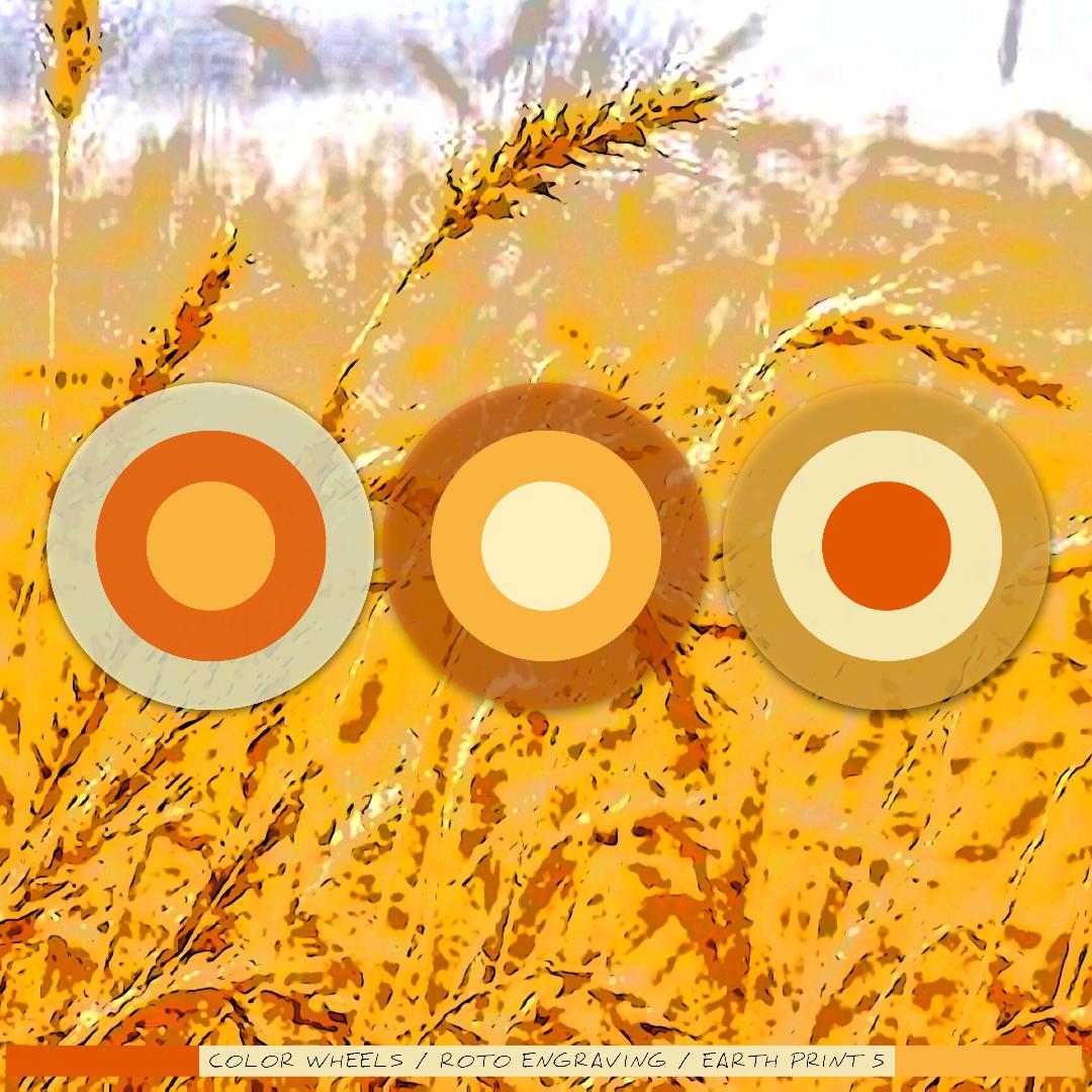 Earth Print 5, Color Wheels series