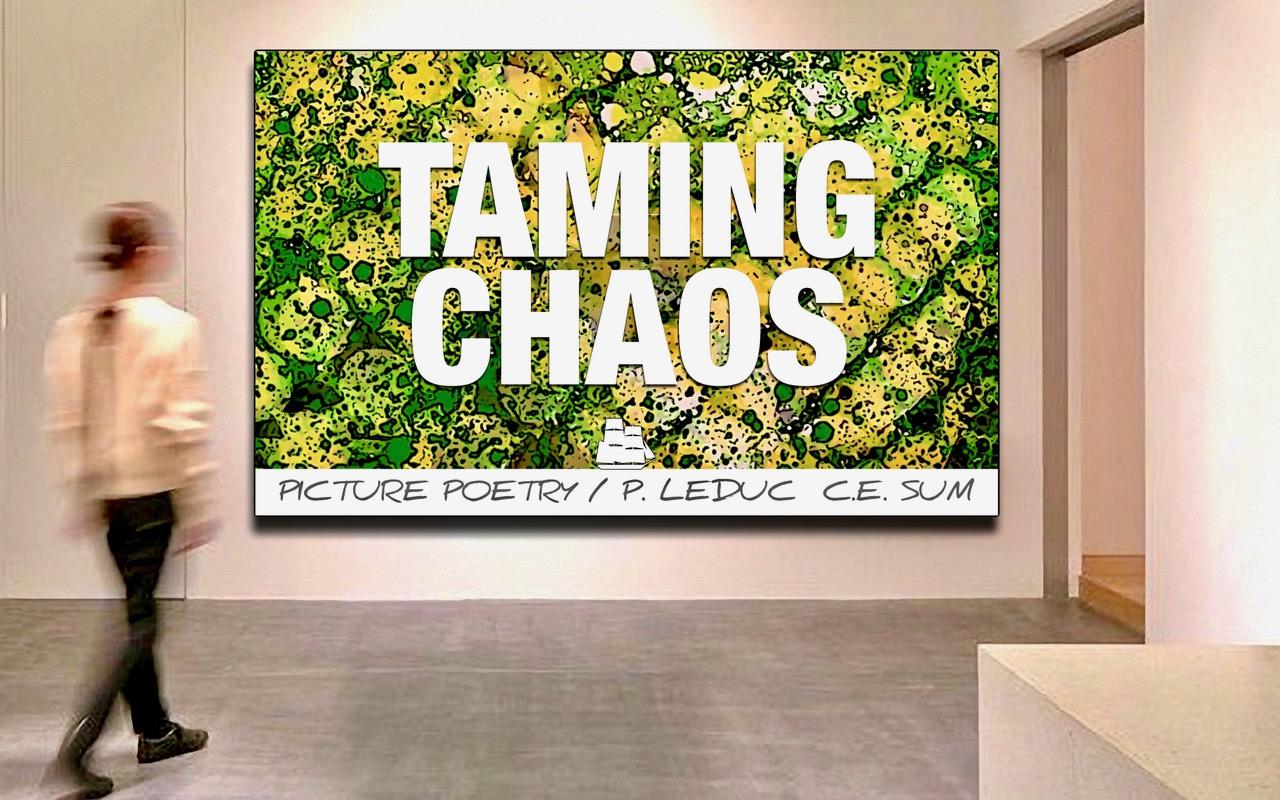 Taming Chaos poster