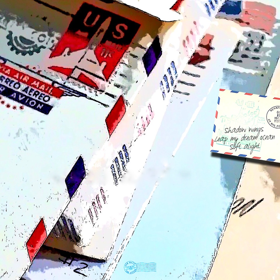 First Class Air Shadow wings j