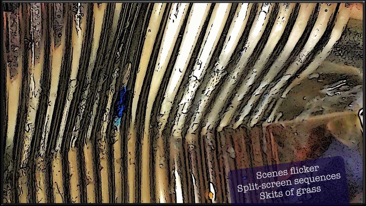 A Star Shines SCENSE FLICKER