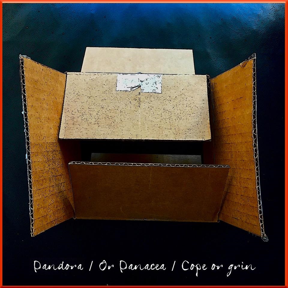 Pandora or Panacea COPE OR GRIN