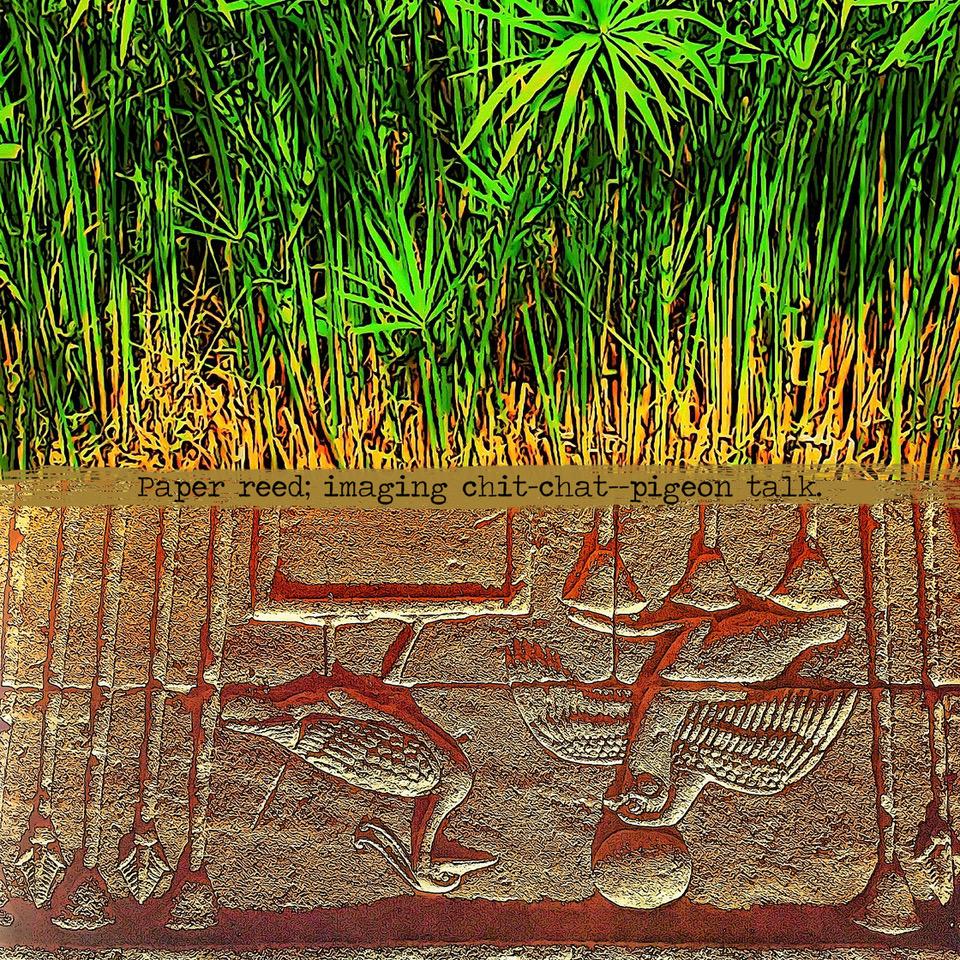 Paper reed imaging chit-chat pigeon talk