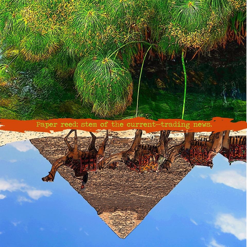 Paper reed stem of the curren trading news