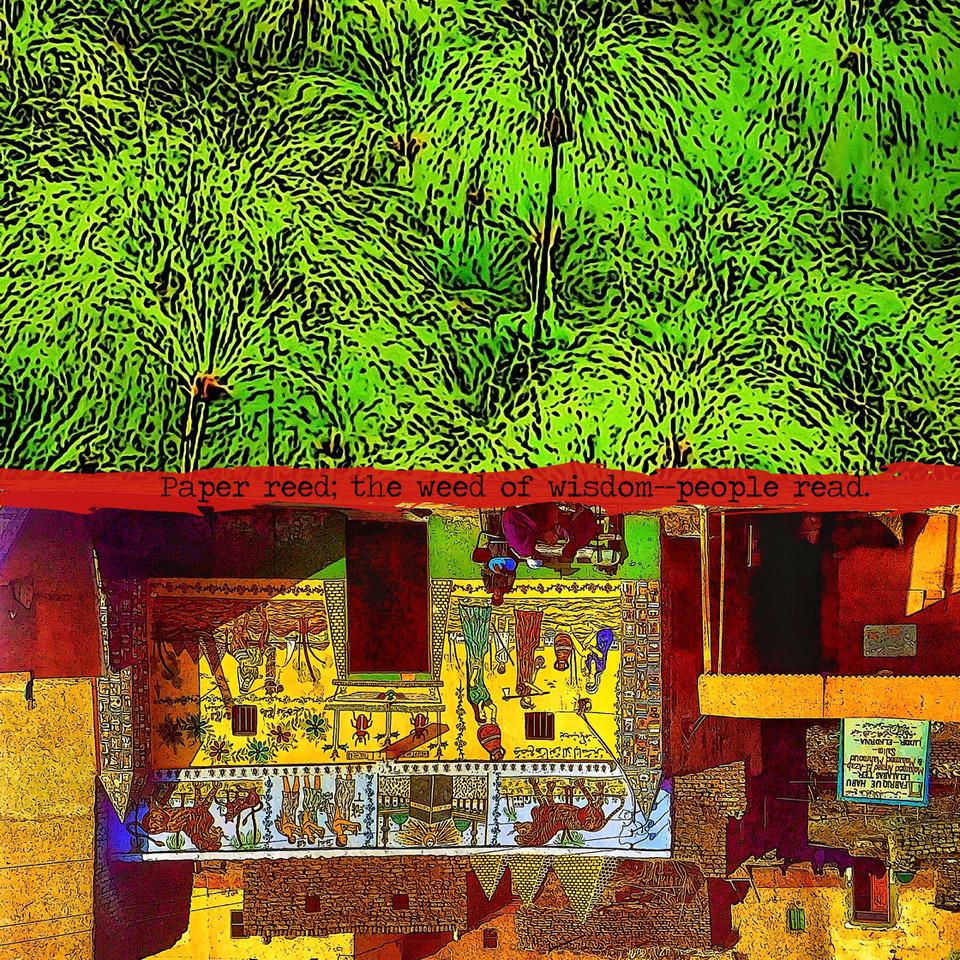 Paper reed the weed of wisdom people read